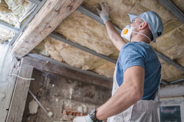 Best Insulation for Specific Applications in Hamlet, IN
