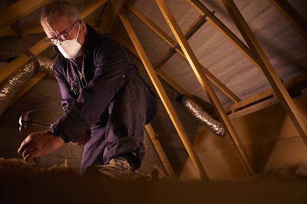 Best Specialized Insulation Services in Hamlet, IN